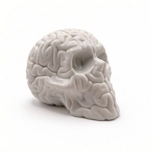 Skull Brain Porcelana x Emilio Garcia