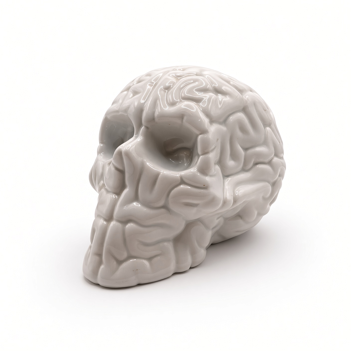 Skull Brain Porcelana x Emilio Garcia