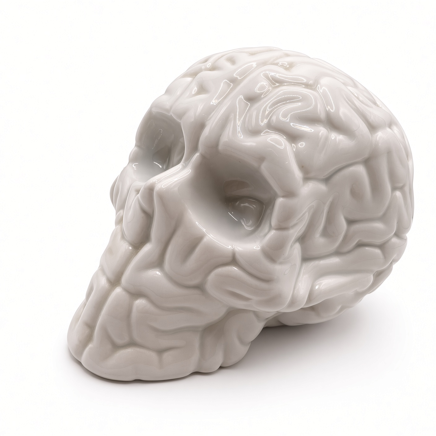 Skull Brain Porcelana x Emilio Garcia - Imagen 5