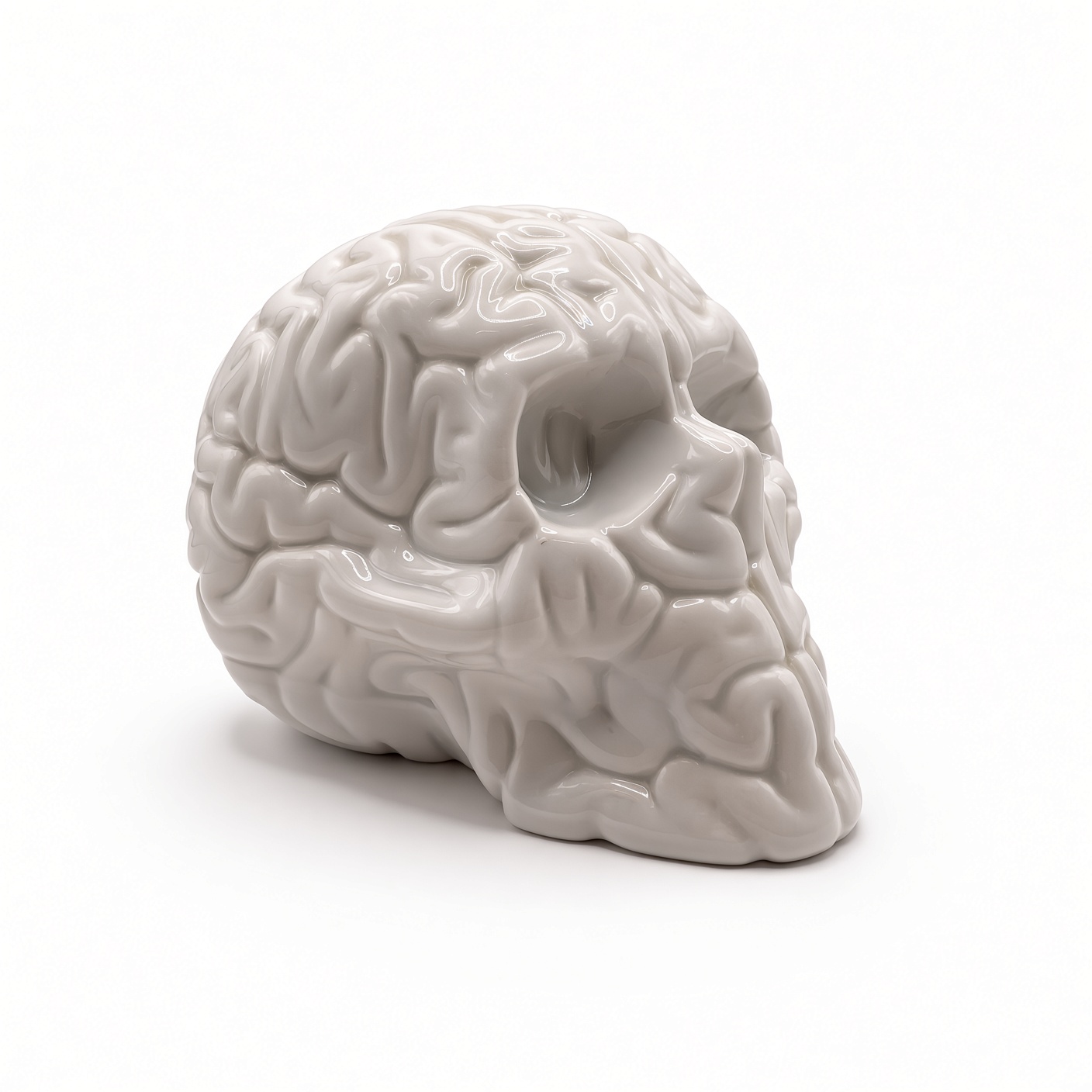 Skull Brain Porcelana x Emilio Garcia - Imagen 3