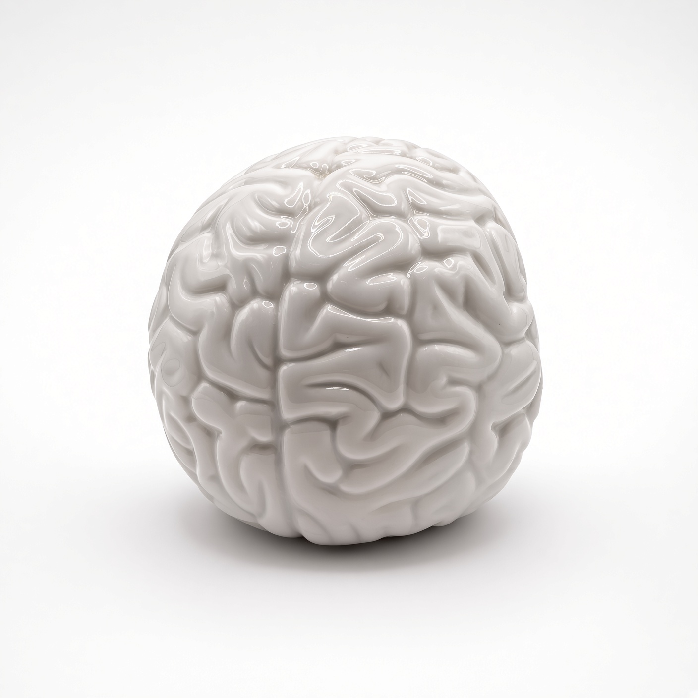 Skull Brain Porcelana x Emilio Garcia - Imagen 8