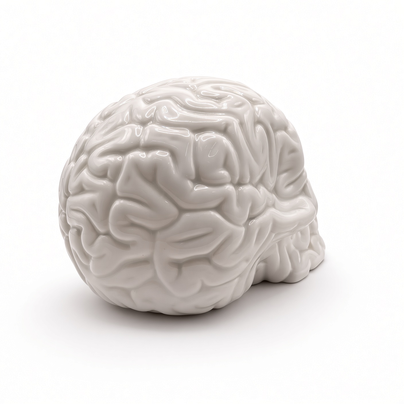 Skull Brain Porcelana x Emilio Garcia - Imagen 6